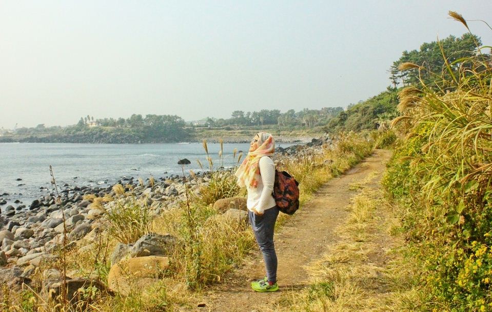 jeju olle trail 7 guide (8)
