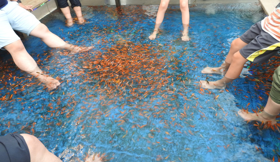 Taiwan’s Jiaoxi (礁溪) Township is home to hot springs,