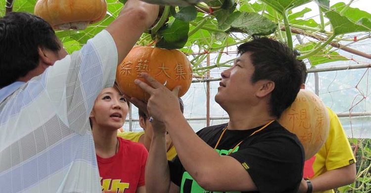 Wanshun Leisure Farm12