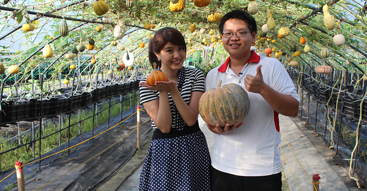 Wanshun Leisure Farm2