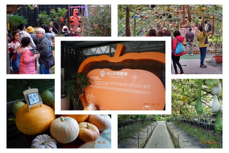 Wanshun Leisure Farm6