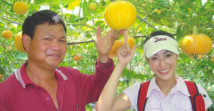 Wanshun Leisure Farm9