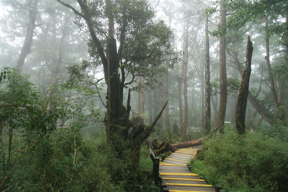 taimingshan taiwan yilan taipingshan yilan, taipingshan yilan blog
