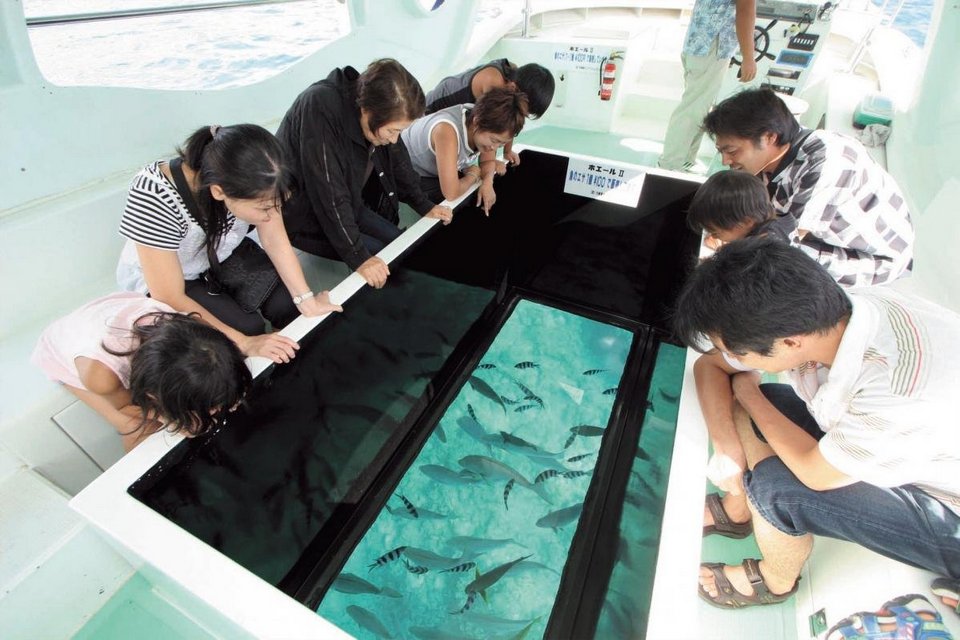 Busena Marine Park Underwater Observatory