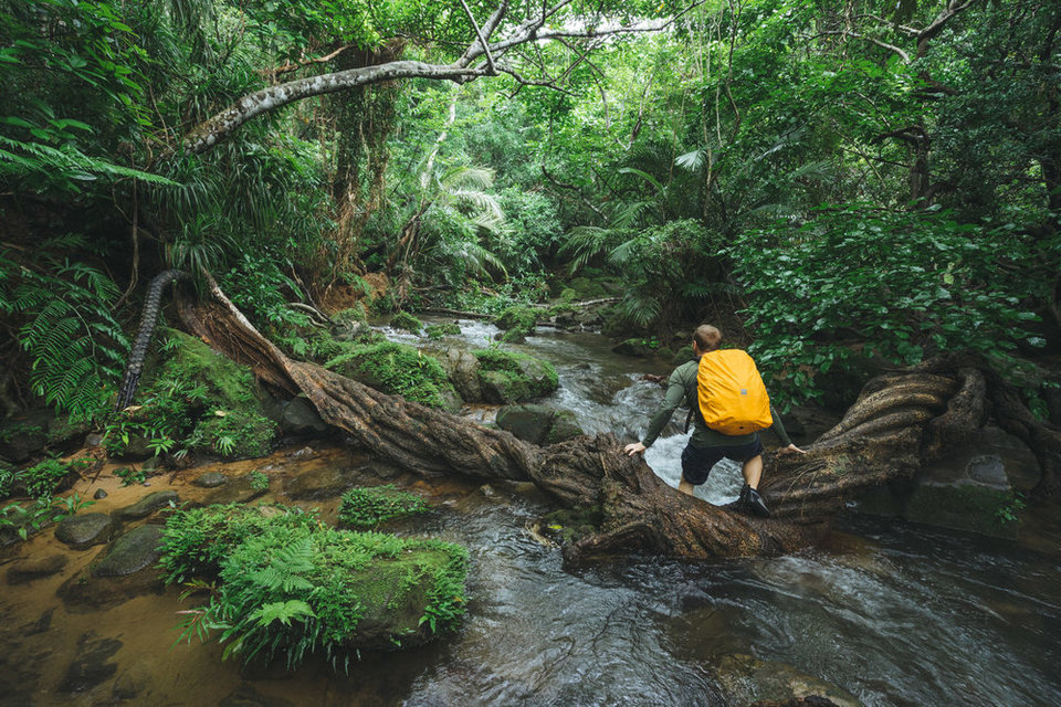 Trekking to the Pinai-sara Waterfall on Iriomote Island, Okinawa