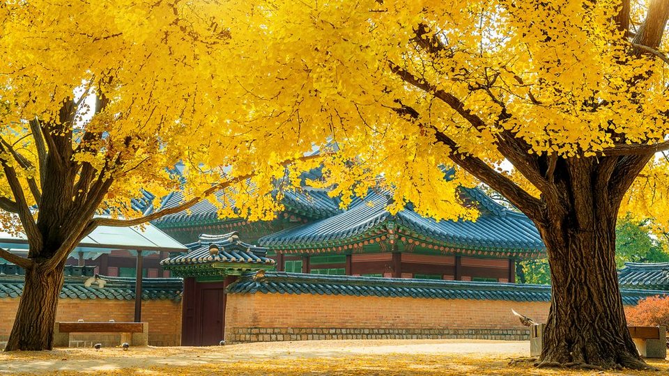 seoul in autumn
