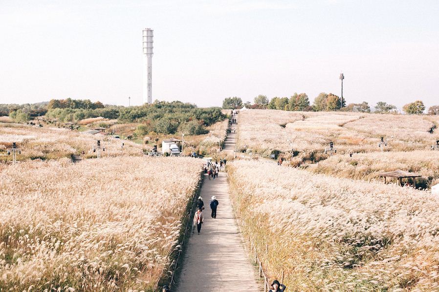 Haneul Park