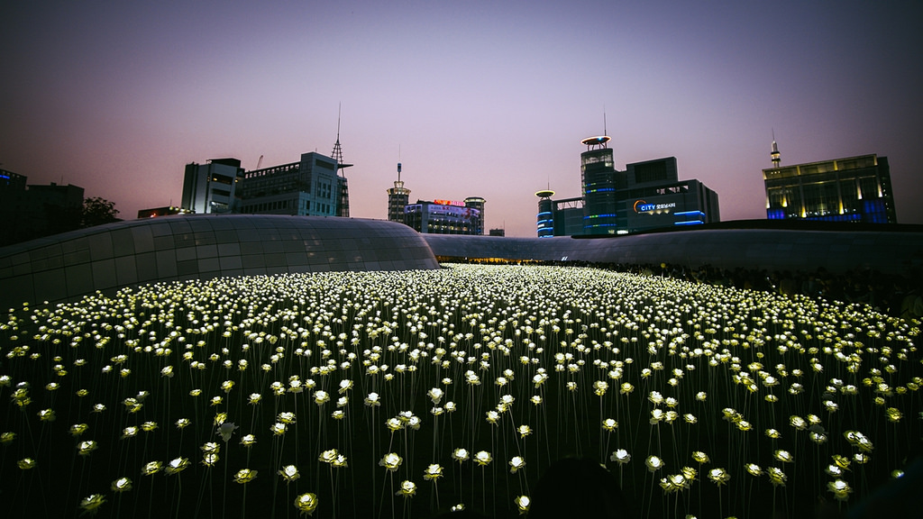 led rose garden3