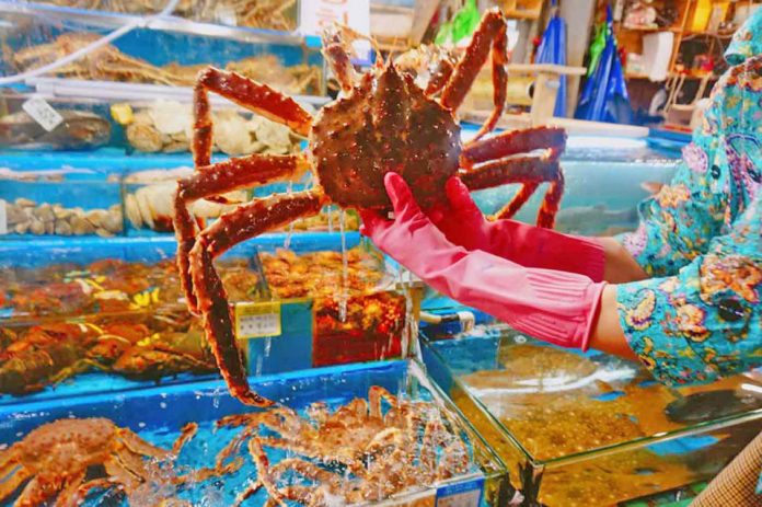 king crab noryangjin-fish-market-guided-tour_01 king crab noryangjin-fish-market-guided-tour_01