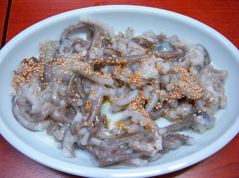 live octopus
