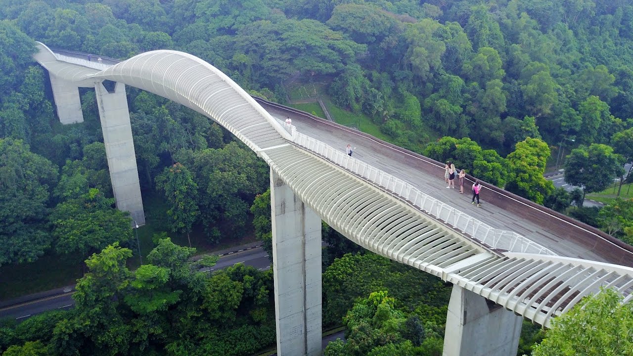 Henderson Waves, the wooden bridge with unique architecture