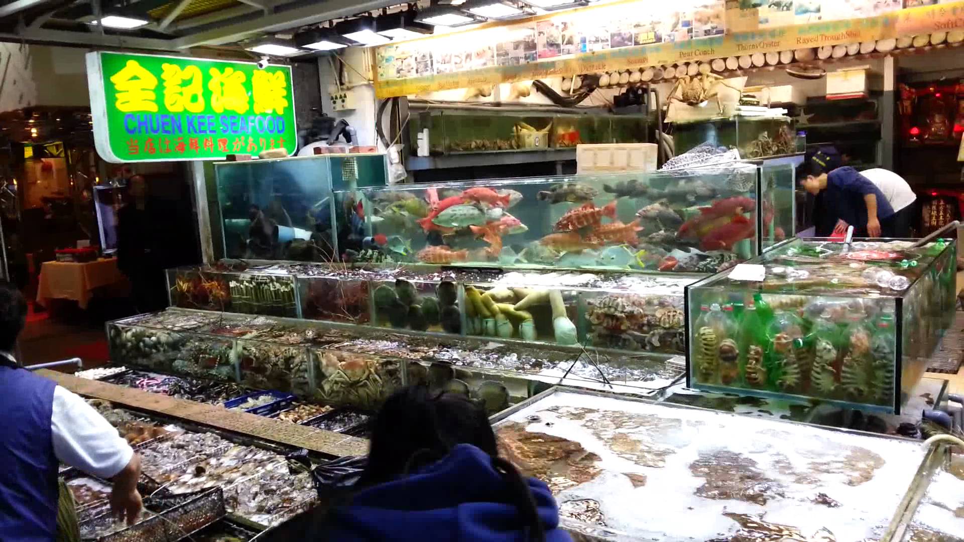 Sai Kung seafood2
