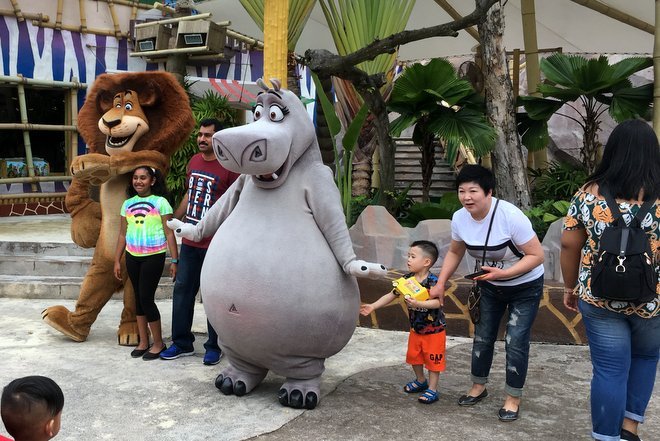 Characters in Madagascar
