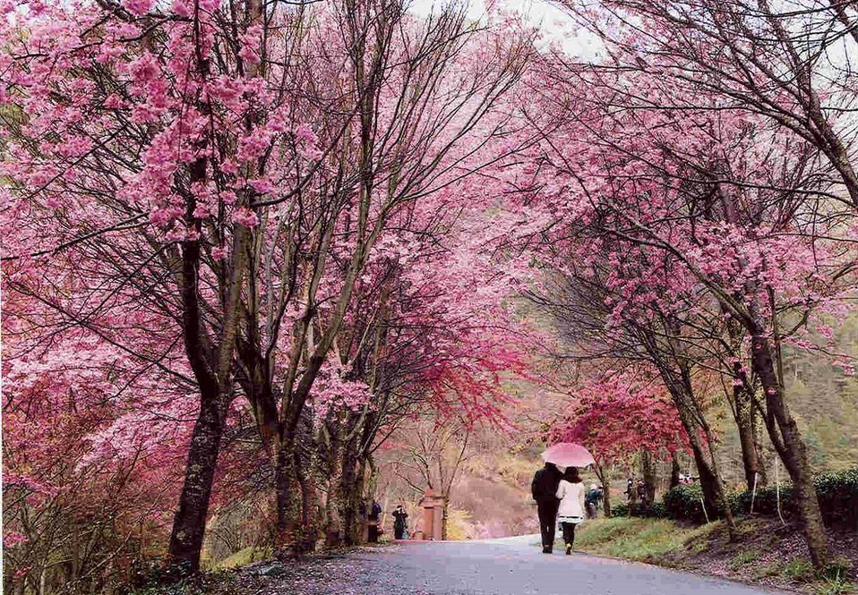 best time to visit taichung
