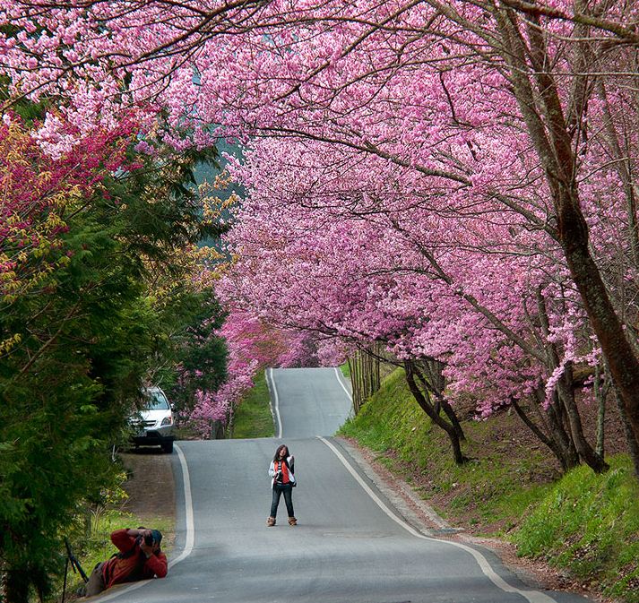 HomeAway Taichung Wuling Farm In Sakura 23