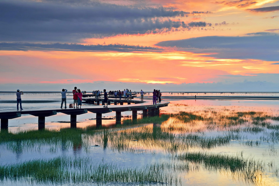 Gaomei Wetlands 1