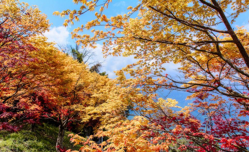 Lishan Scenic Area