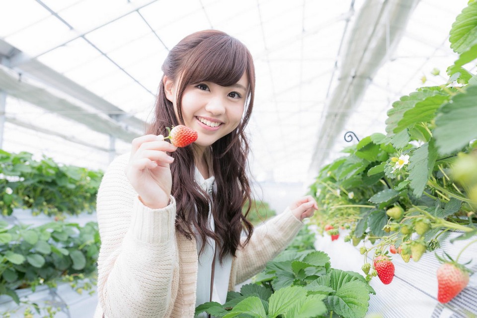 Nikko Strawberry Park21