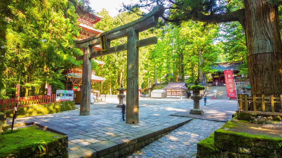 toshogu shrine campus