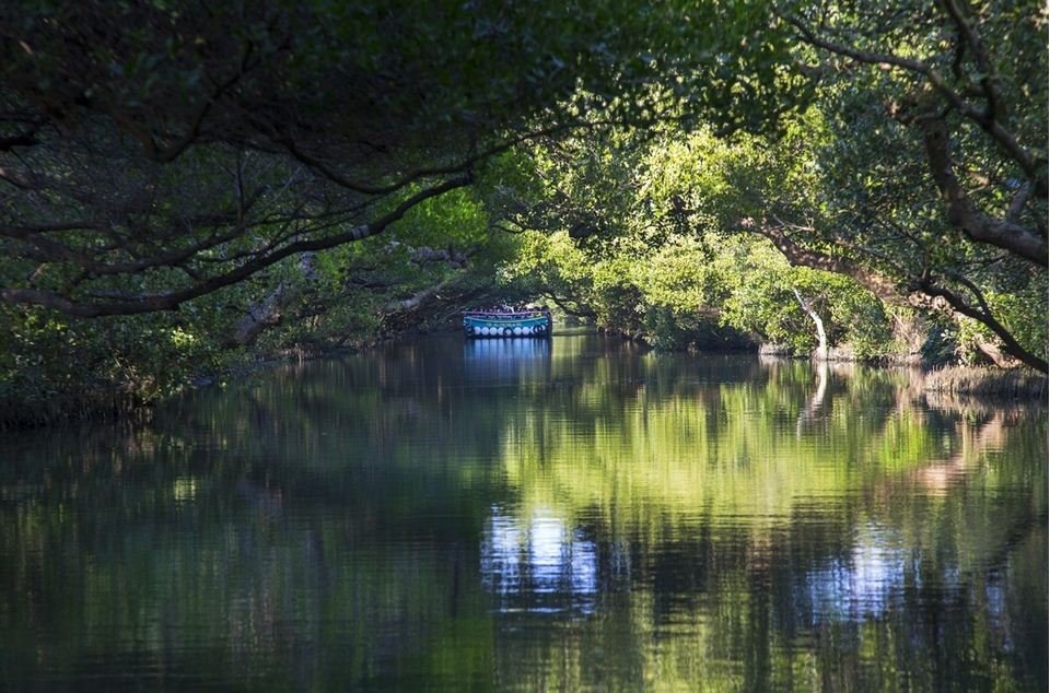 Taijiang National Park