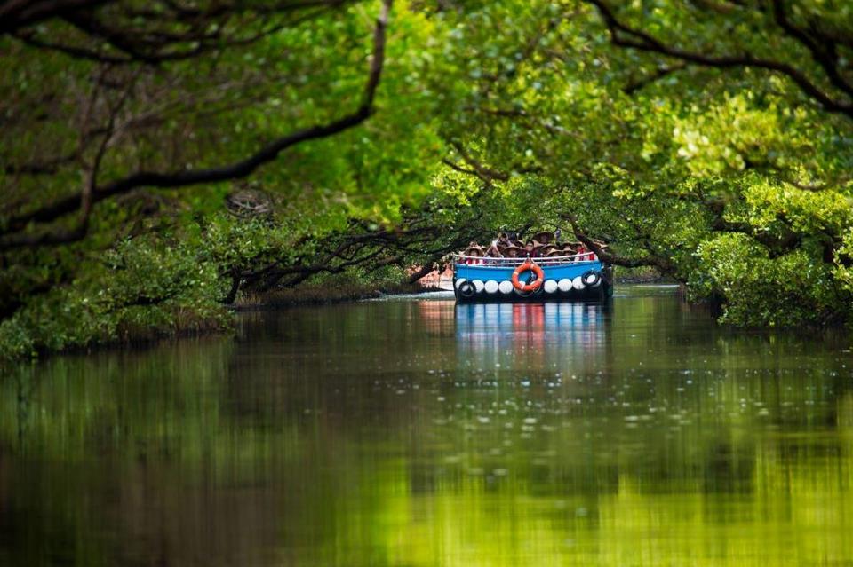Taijiang National Park111