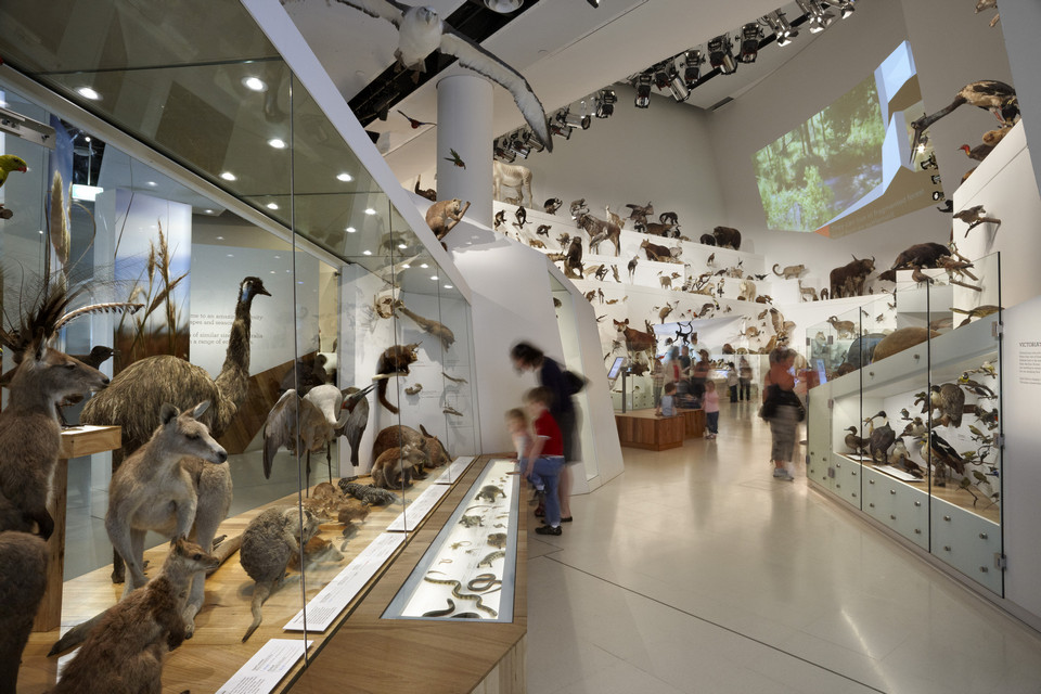 Melbourne Museum2