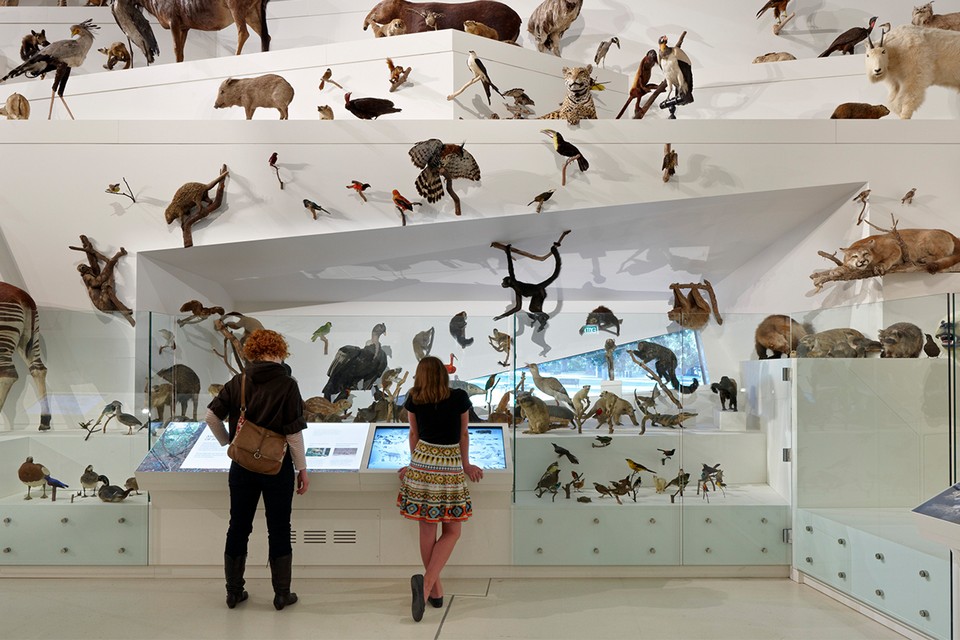 Melbourne_Museum_Article_Image