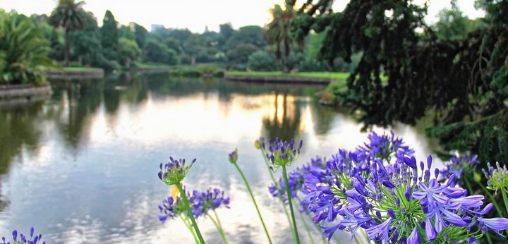 royal-botanic-garden-melbourne-1000×480