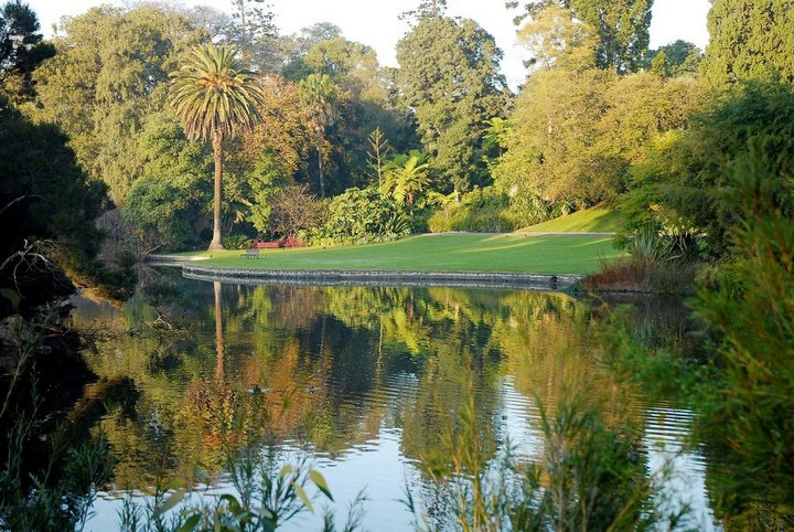 royal-botanic-gardens