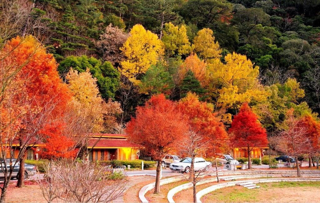 Taiwan in Autumn