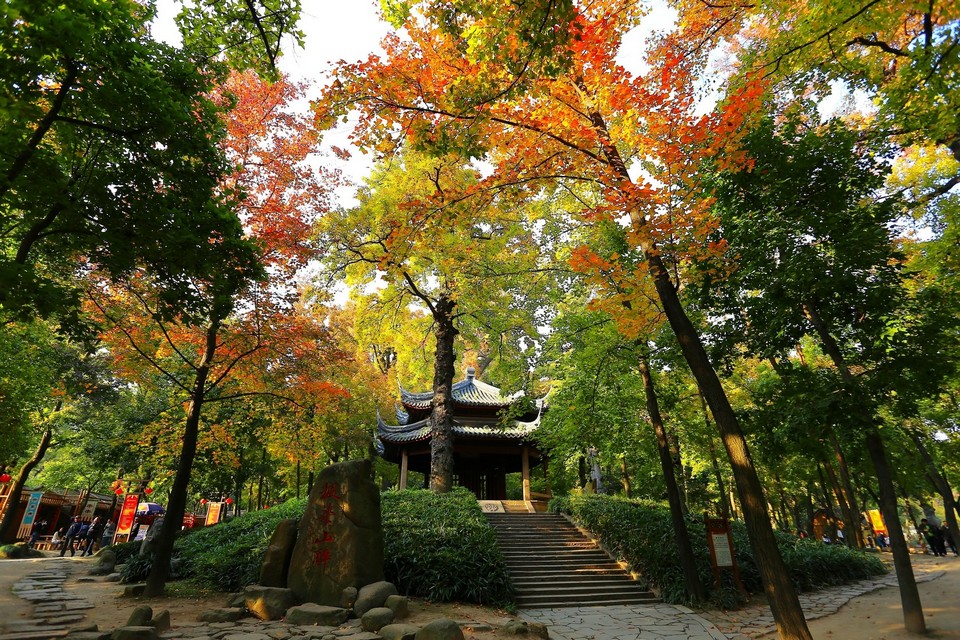 Taipingshan autumn3