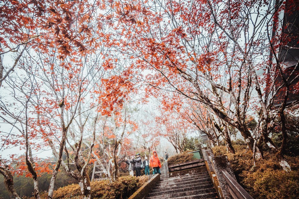 Taipingshan autumn3