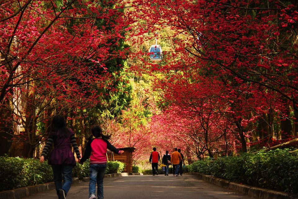 Taipingshan autumn3