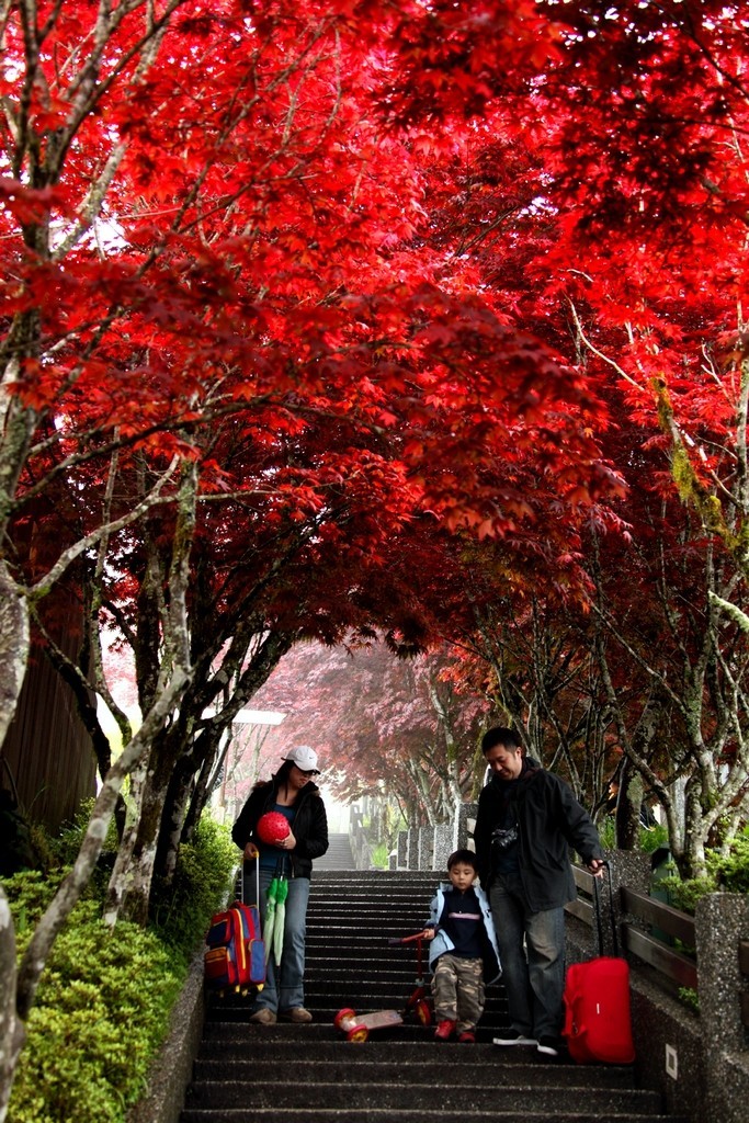Taipingshan autumn3