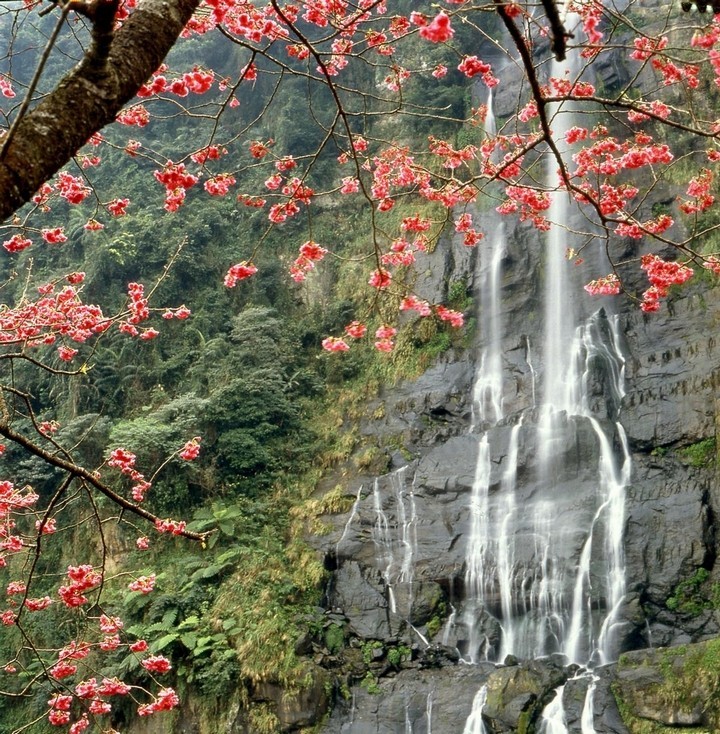 Wulai autumn,wulai blog,wulai day trip,wulai travel blog