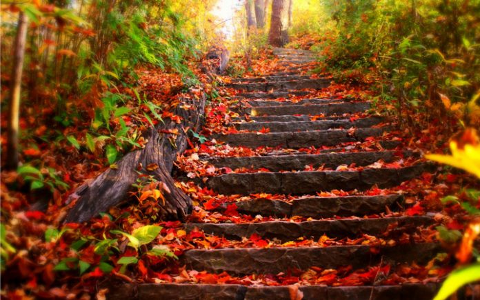 Taipei Fall Taiwan Fall Foliage Forecast 2025 — When & 9+ Best Place to See Autumn ...