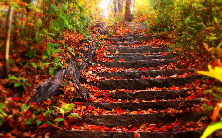 Wulai autumn