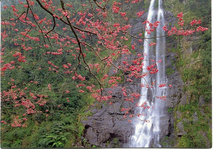 Wulai autumn