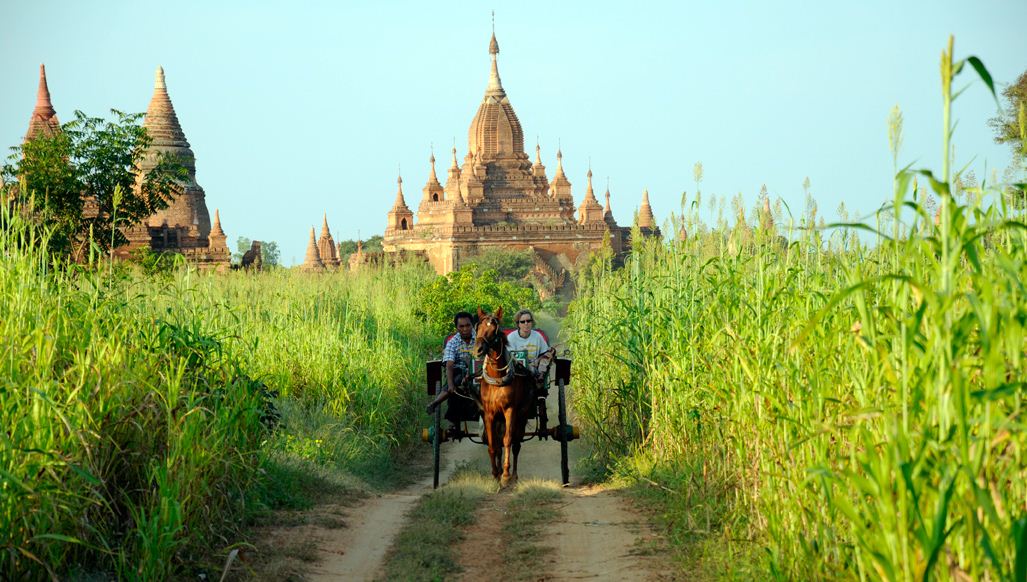 horse cart bagan