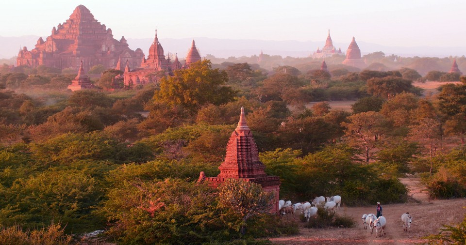 Dhammayangyi Pahto