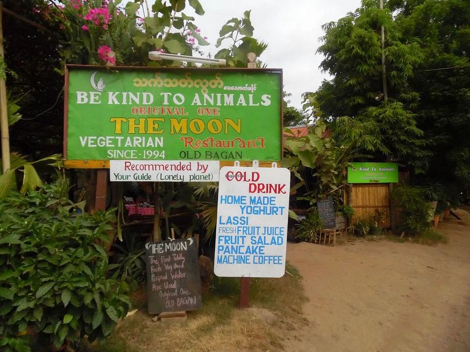 Be Kind to Animals The Moon