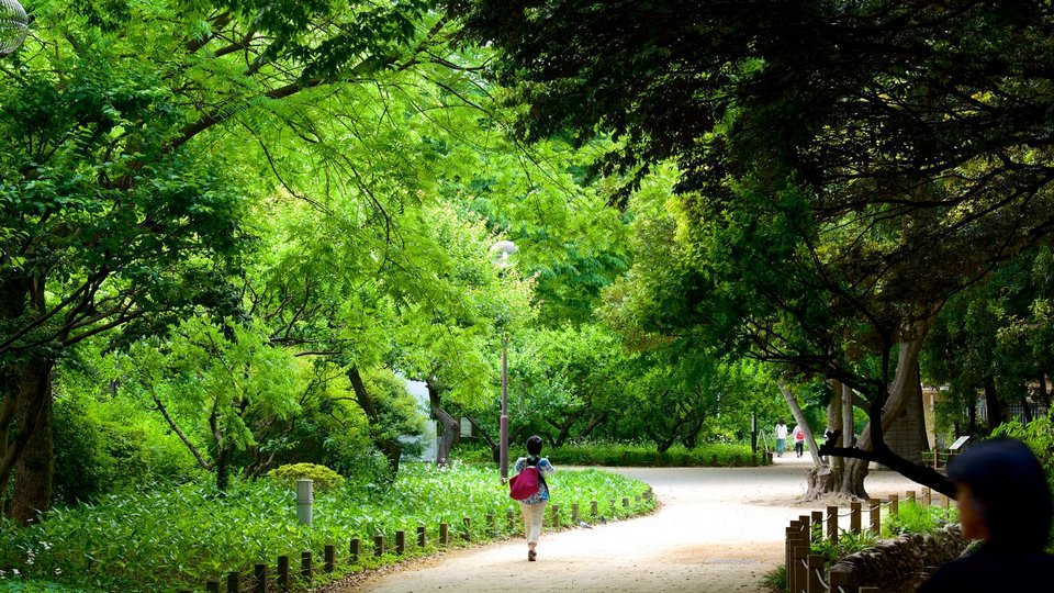 69484-Shinjuku-Gyoen-National-Garden