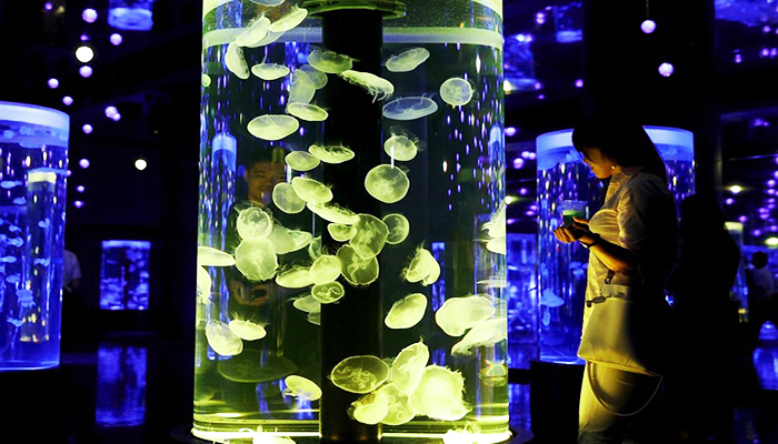 Maxell Aqua Park Shinagawa