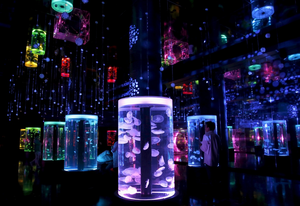 Visitors looking at jellyfish at Tokyo's Epson Aqua Park Shinagawa aquarium.