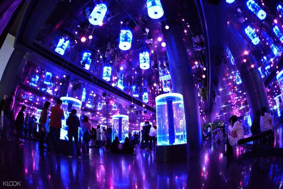 Visitors looking at jellyfish at Tokyo's Epson Aqua Park Shinagawa aquarium.