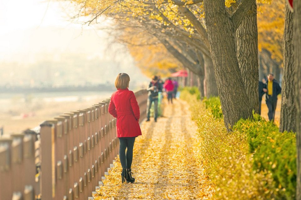 Korea-Fall-Foliage-2017