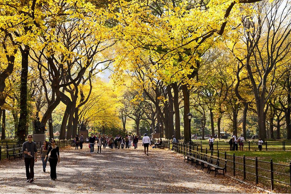 fall foliage forecast korea 2018 fall foliage korea 2018 when is autumn in korea (11)