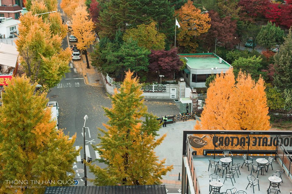 samcheongdong-autumn-1.4