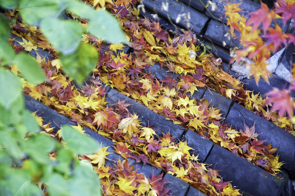 samcheongdong-autumn-1.4
