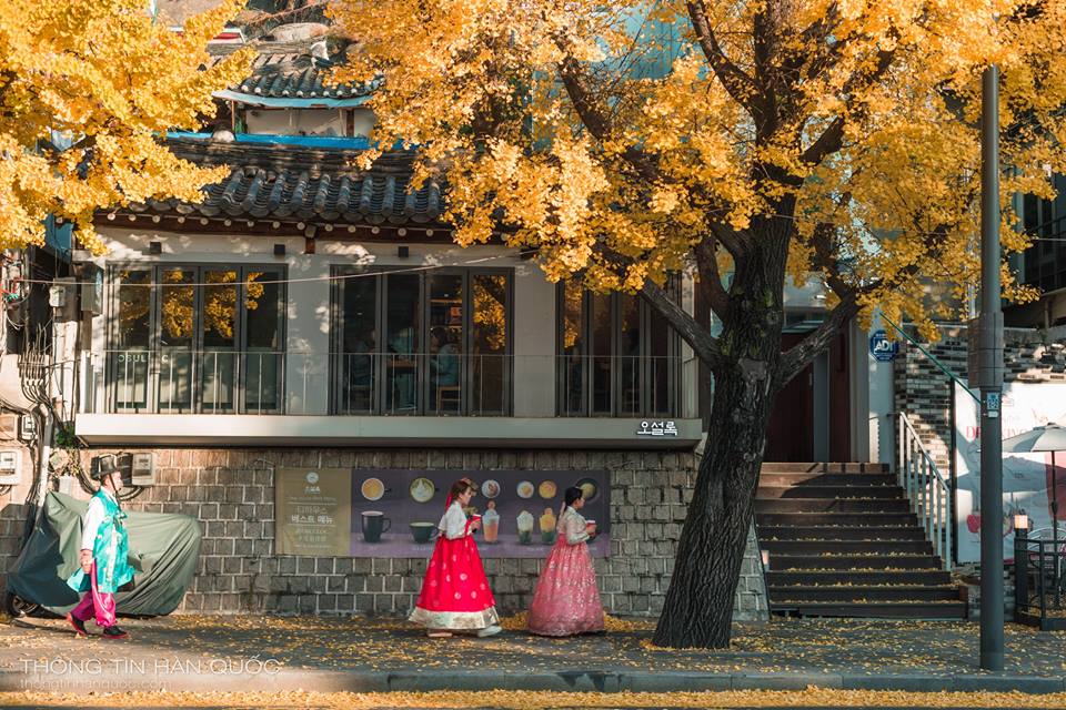 samcheongdong-autumn-1.4